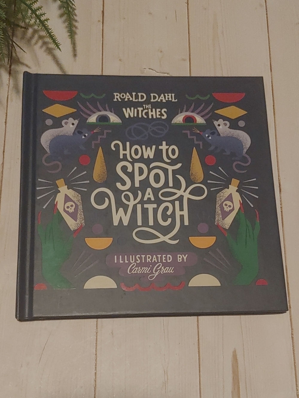 NEW How To Spot A Witch Children Small Picture Book by Ronald Dahl The Witches